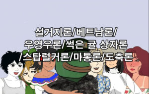 주갤 이론