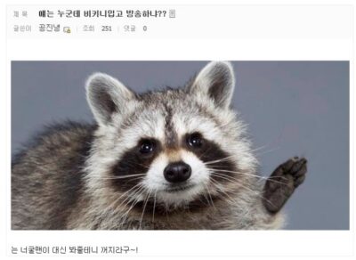 너굴맨