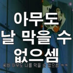 아무도 날 막을 수 없으셈