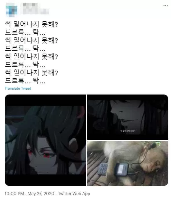 드르륵 탁 트위터 