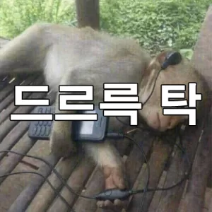 드르륵 탁