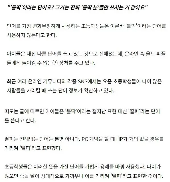 딸피 기사 