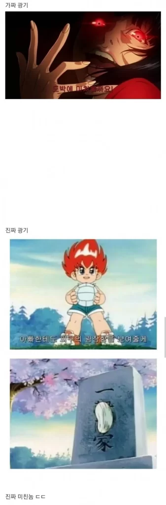 가짜광기 진짜광기 예시 