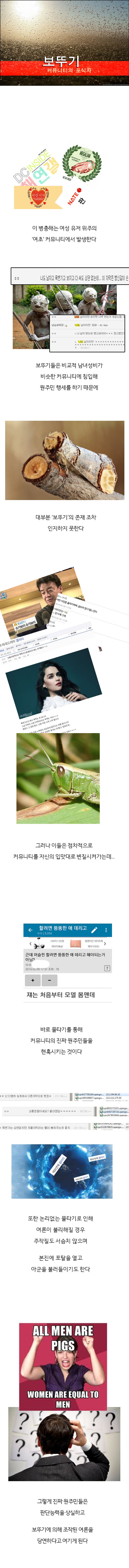 보뚜기론 유래