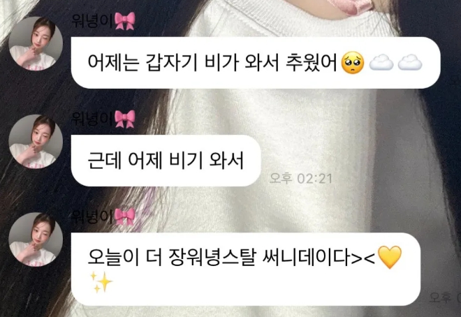 장원영 원영적 사고 유래 